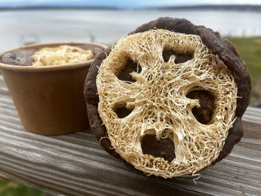 Botanical Loofah Soap