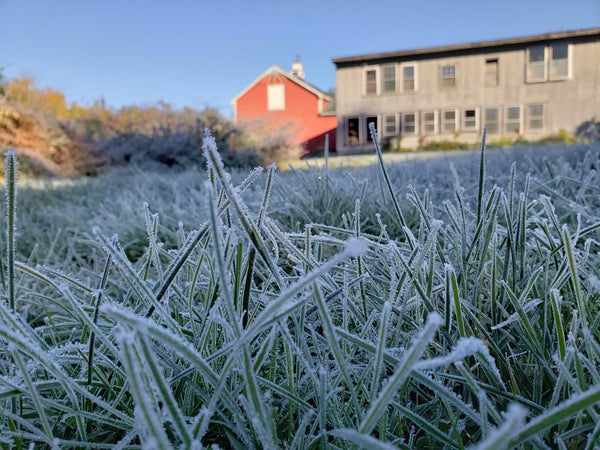 Spirit Hawk Farm 