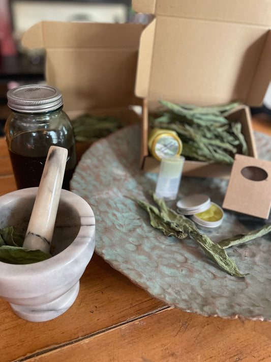 Home Grown Dried Comfrey